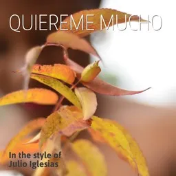 Cover art for Quiereme Mucho - Julio Iglesias karaoke version