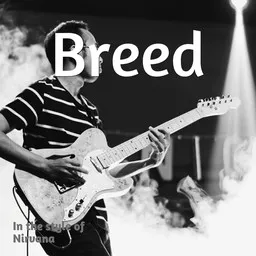 Karaokekappaleen Breed - Nirvana kansikuva