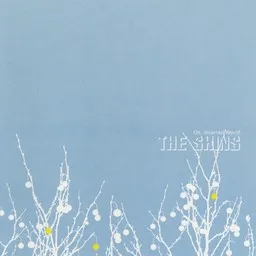 Cover art for Caring Is Creepy - The Shins karaoke version