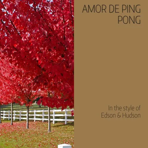 Amor De Ping Pong - Karaoke
