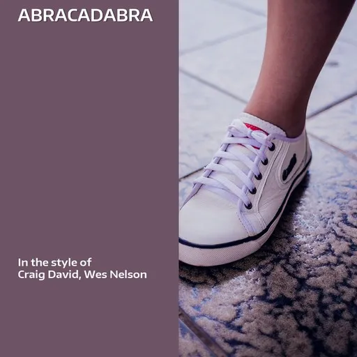Karaoke Abracadabra von Craig David, Wes Nelson — mit Songtext mitsingen auf Singa