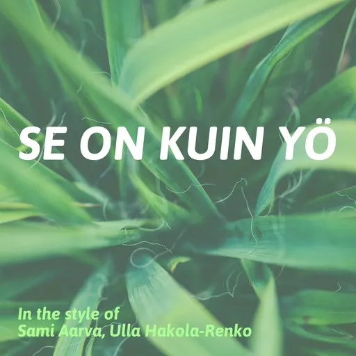Se on kuin yö - Karaoke