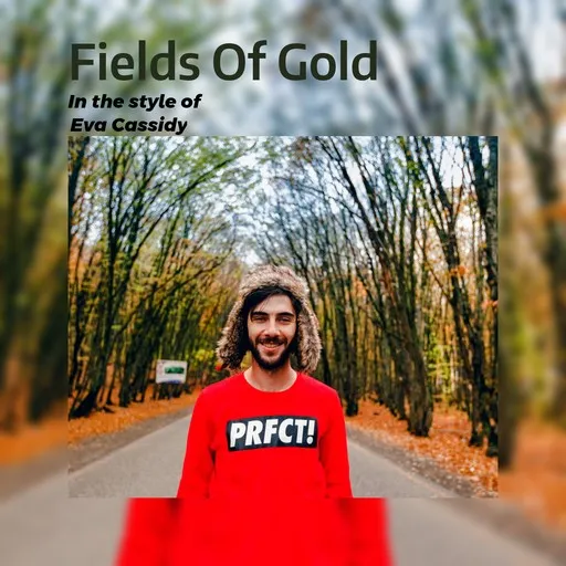 Fields Of Gold - Karaoke