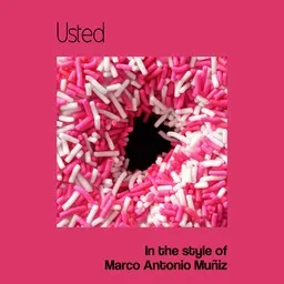 Cover art for Usted - Marco Antonio Muñiz karaoke version