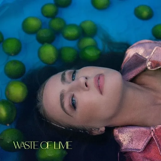Waste of Lime - Karaoke