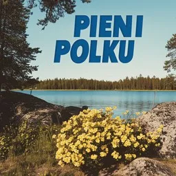 Cover art for Pieni polku - Erkki Junkkarinen karaoke version