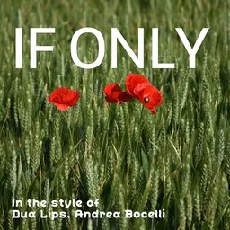 Karaokekappaleen If Only - Andrea Bocelli,Dua Lips kansikuva
