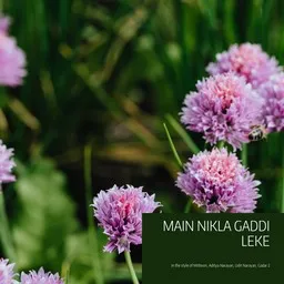 Cover art for Main Nikla Gaddi Leke - Aditya Narayan,Gadar 2,Mithoon,Udit Narayan karaoke version