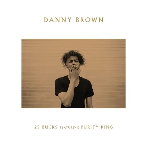 Karaoke 25 Bucks av Danny Brown, Purity Ring — sjung med på texten på Singa
