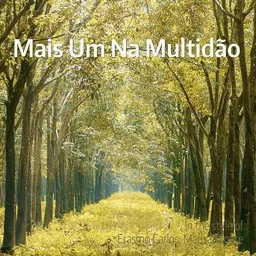 Cover art for Mais Um Na Multidão - Erasmo Carlos,Marisa Monte karaoke version