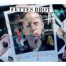 Omslagsbild för Ich lass dich nicht los - Fettes Brot,Pascal Finkenauer karaokeversion