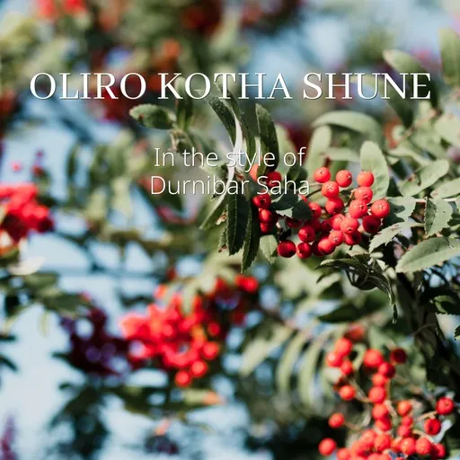 Karaoke Oliro Kotha Shune by Durnibar Saha — sing along with lyrics on Singa