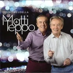 Cover art for Niihin hetkiin - Matti ja Teppo karaoke version