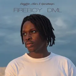 Titelbild für Vibration - Fireboy DML Karaoke-Version