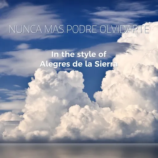 Nunca Mas Podre Olvidarte - Karaoke