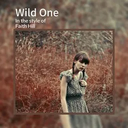 Karaokekappaleen Wild One - Faith Hill kansikuva