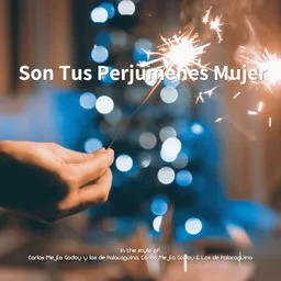 Omslagsbild för Son Tus Perjumenes Mujer - Carlos Mejía Godoy & Los de Palacagüina,Carlos Mejía Godoy y los de Palacagüina karaokeversion