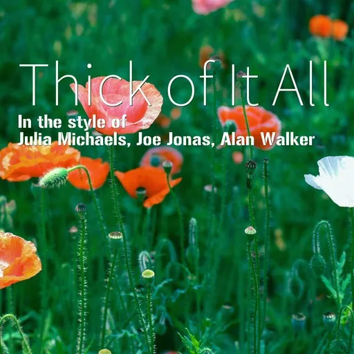 Karaoke Thick of It All von Alan Walker, Joe Jonas, Julia Michaels — mit Songtext mitsingen auf Singa