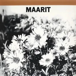 Cover art for Lainaa vain - Maarit karaoke version