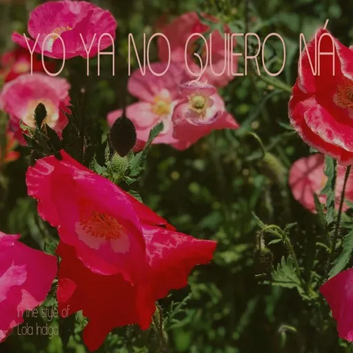 Karaoke Yo Ya No Quiero Ná by Lola Indigo — sing along with lyrics on Singa