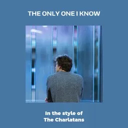 Titelbild für The Only One I Know - The Charlatans Karaoke-Version