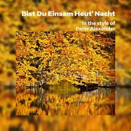 Titelbild für Bist Du Einsam Heut' Nacht - Peter Alexander Karaoke-Version