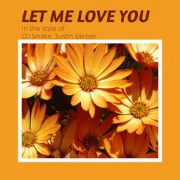 Omslagsbild för Let Me Love You - DJ Snake,Justin Bieber karaokeversion