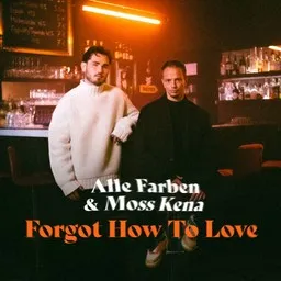 Omslagsbild för Forgot How to Love - Alle Farben,Moss Kena karaokeversion