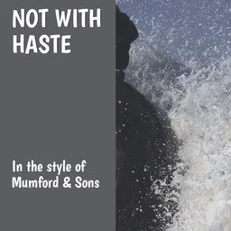Cover art for Not With Haste - Mumford & Sons karaoke version