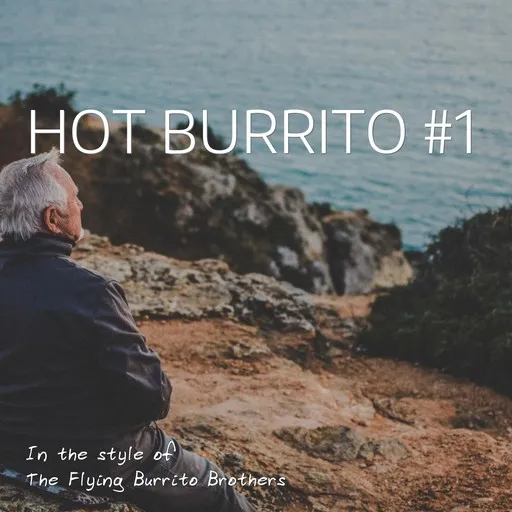 Karaoke Hot Burrito #1 by The Flying Burrito Brothers — sing along with lyrics on Singa