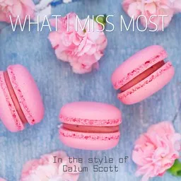 Titelbild für What I Miss Most - Calum Scott Karaoke-Version