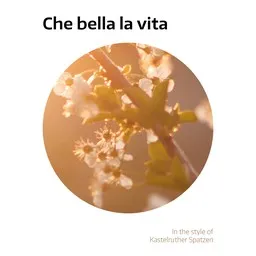 Cover art for Che bella la vita - Kastelruther Spatzen karaoke version