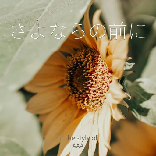 さよならの前に - Karaoke