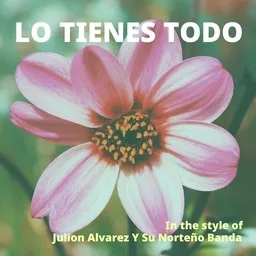 Julion Alvarez Y Su Norteño Banda - Karaoke