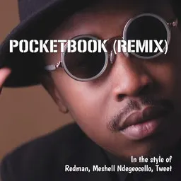 Karaokekappaleen Pocketbook (Remix) - Meshell Ndegeocello,Redman,Tweet kansikuva