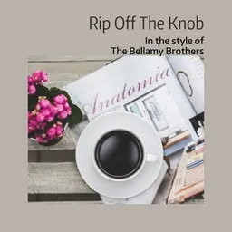 Titelbild für Rip Off The Knob - The Bellamy Brothers Karaoke-Version