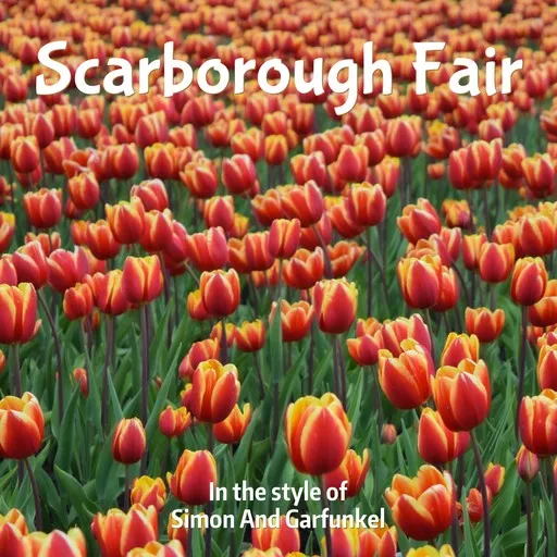 Karaoke Scarborough Fair by Simon & Garfunkel — sing along with lyrics on Singa