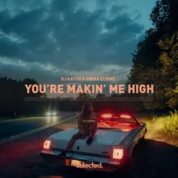 Cover art for You're Makin' Me High - Amira Eldine,DJ Katch karaoke version
