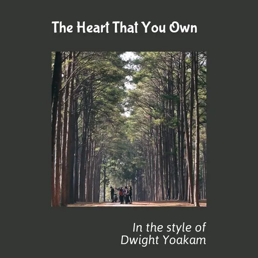 The Heart That You Own - Karaoke