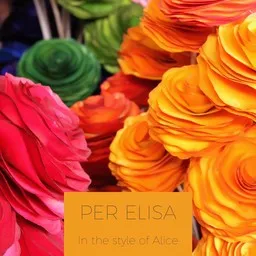 Titelbild für Per Elisa - Alice Karaoke-Version