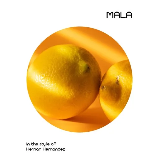 Karaoke Mala by Hernan Hernandez — sing along with lyrics on Singa