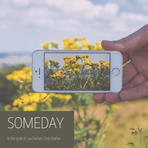 Karaoke Someday by Chris Walker, Lisa Fischer — sing along with lyrics on Singa