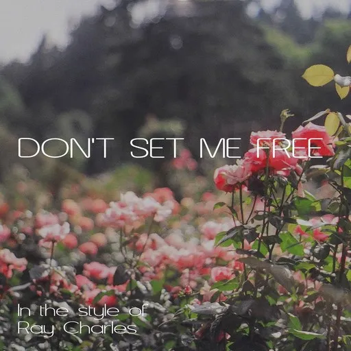 Karaoke Don't Set Me Free von Ray Charles — mit Songtext mitsingen auf Singa