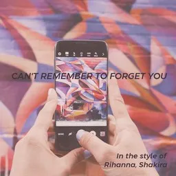 Karaokekappaleen Can't Remember To Forget You - Rihanna,Shakira kansikuva