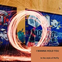 Omslagsbild för I Wanna Hold You - McFly karaokeversion