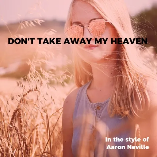 Don't Take Away My Heaven - Karaoke