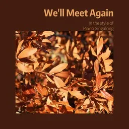 Cover art for We'll Meet Again - Piano Singalong karaoke version