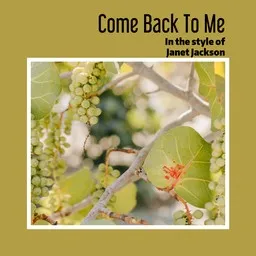 Titelbild für Come Back To Me - Janet Jackson Karaoke-Version