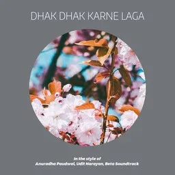 Cover art for Dhak Dhak Karne Laga - Anuradha Paudwal,Beta Soundtrack,Udit Narayan karaoke version