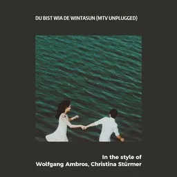 Titelbild für Du bist wia de Wintasun (MTV Unplugged) - Christina Stürmer,Wolfgang Ambros Karaoke-Version